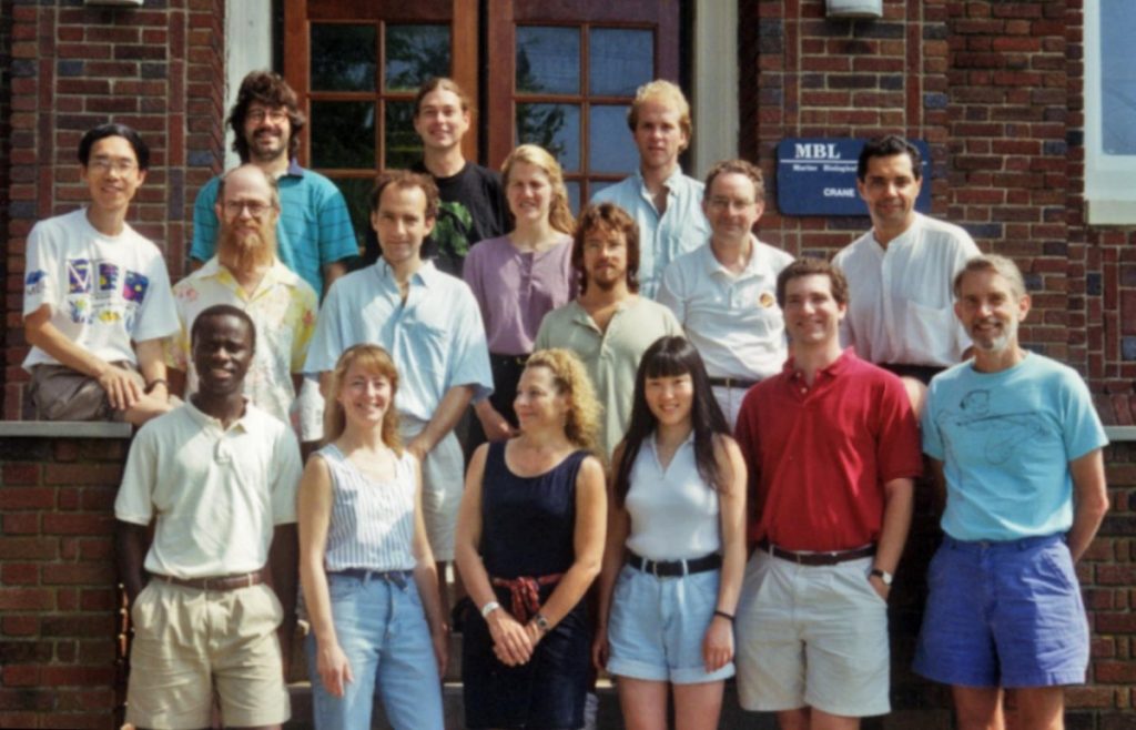 1994