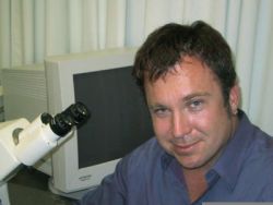 Damian Wheeler