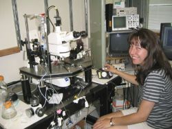 Sandra J. Kuhlman