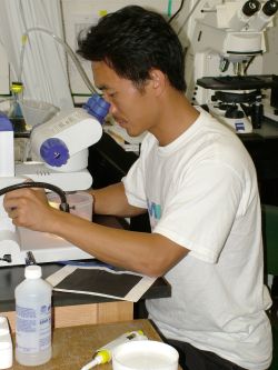 James Jiayuan Tong