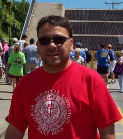 Manuel Estrada