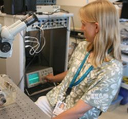 Karen Maruska
