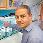 Abdel El Manira