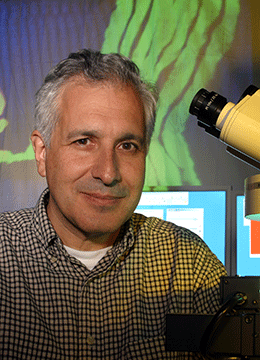 Jeff W. Lichtman