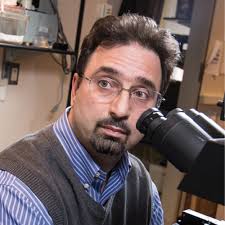 Kamran Khodakhah