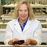 Lynne A. Fieber