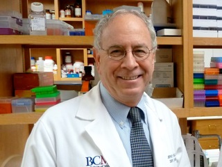 Jeffrey D. Noebels
