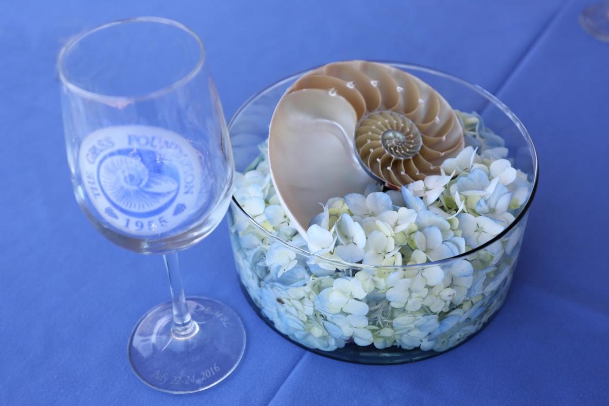 Reunion2016_0 photo from the 65th Reunion 2016