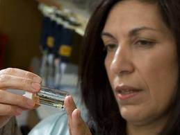 Huda Y. Zoghbi