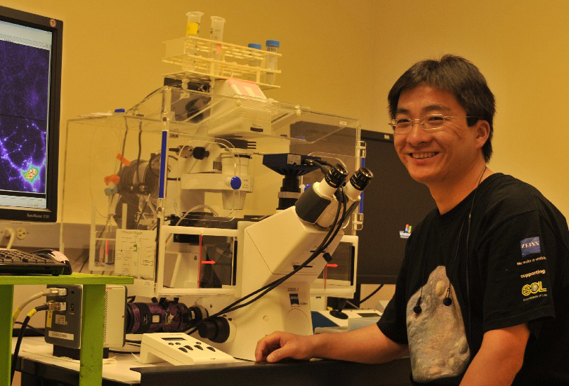 Qi Zhang