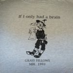 1993 if i only had a brain