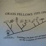 1995 cladogram