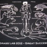 Grass Lab 2012 - Great Success